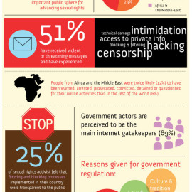 Infografía – Activismo por los derechos sexuales e internet